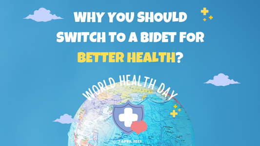 Why You Should Switch to a Bidet for Better Health?